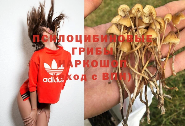 сатива Алексеевка