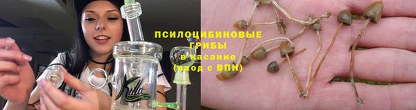 прущий лед Алзамай