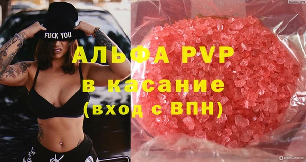 стафф Алексин