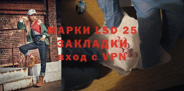 прущий лед Алзамай