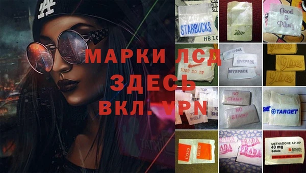 стафф Алексин