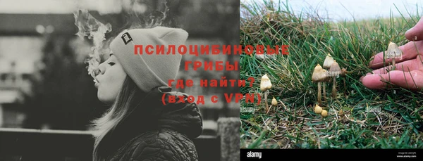 стафф Алексин