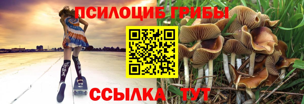 Галлюциногенные грибы прущие грибы Алушта