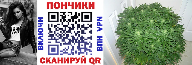Конопля MAZAR  купить наркотик  Алушта 
